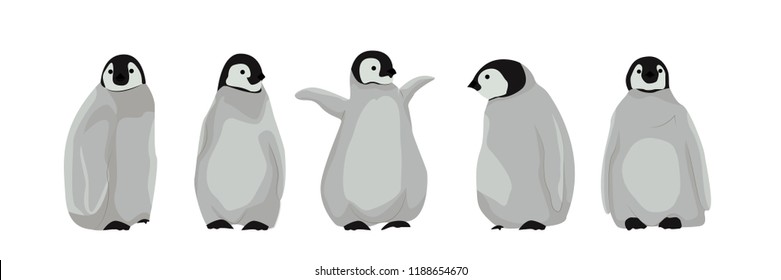 A set of realistic chic imperial penguins in different poses. Arctic birds and Australia. Vector illustration, isolated on white background.