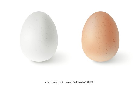 Set of realistic chicken eggs. Vector illustration isolated on white background