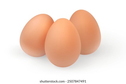 Conjunto de huevos de gallina realistas. Ilustración vectorial aislada sobre fondo blanco