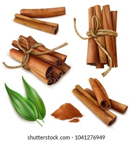 Set of realistic cinnamon sticks with spicy powder, green leaves isolated on white background vector illustration 