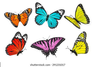 Set of realistic colorful butterflies, butterfly vector illustration