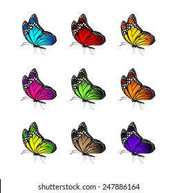 Set of Realistic Colorful Butterflies Isolated for Spring. Editable Vector Illustration