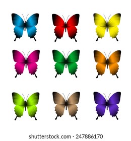Set of Realistic Colorful Butterflies Isolated in White Background for Spring. Vector Illustration