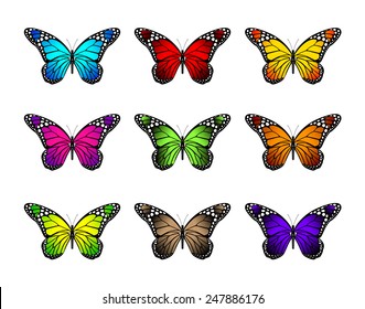 Set of Realistic Colorful Butterflies Isolated for Spring. Editable Vector Illustration