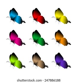 Set of Realistic Colorful Butterflies Isolated for Spring. Editable Vector Illustration