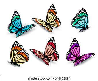 Set of realistic colorful butterflies. Vector