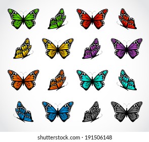 Set of realistic colorful butterflies. Vector