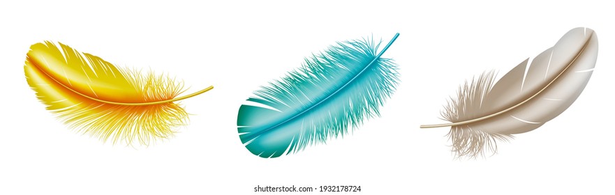 Set of realistic colorful feathers: blue and yellow bird plume isolated on white background. Colored plumage 3d detailed view. Vector illustration