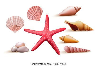 Set of Realistic Colorful Sea Shells and Stones Elements and Decoration for Summer Season. Vector Illustration
