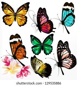 Set of realistic colorful vector butterflies for design