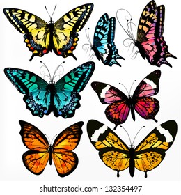Set of realistic colorful vector butterflies for design