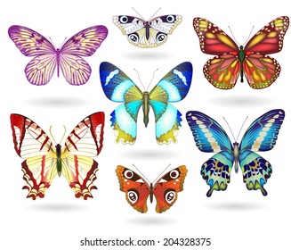 Set of realistic colorful  vector butterflies. EPS 10