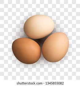 Set of Realistic Dark and Light Brown Whole Chicken Eggs. 3d Vector Illustration of Three Egg Collection