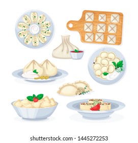 Set of realistic dishes from meat and dough food, traditional tasty food dumplings mantas ravioli khinkali kurze vareniki. European, Asian national cuisine isolated icons vector illustration