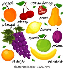 set it is realistic the drawn fruit