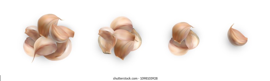 Set of Realistic Dry Garlic Cloves Isolated on White Background Top View. Vector 3d Illustration