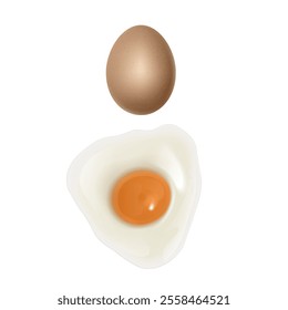 Set of realistic eggs on white background