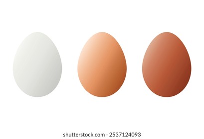 Conjunto de huevos realistas: huevos de pollo blancos, oscuros y marrones claros. Ilustración vectorial aislada sobre fondo blanco. huevo de pollo. Concepto de cría de aves de corral y venta de alimentos. Huevos biológicos de una granja.