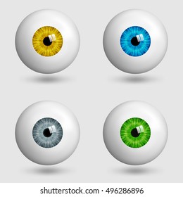 set of realistic eyes with different colors of irises. vector illustration - eps 10