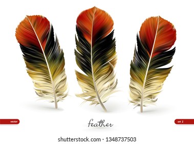 Set of realistic feathers - vector illustration. Isolated on white background. Eps10.