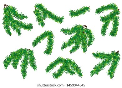 Set of realistic fir tree branches. Trendy Christmas vector elements for cards, banners, posters and other festive decorations.