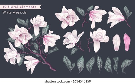 Set of realistic floral elements with white magnolia flowers, branches and leaves. Hand drawn, vector botanical flora for decoration, wedding invitation, patterns, wallpapers, fabric, wrapping paper. 