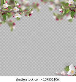 Set of realistic flowering branches. 3d green leafs, pink fresh flowers, petals, on transparent background. Vector illustration for design of site, web banner, ads, booklet, poster, card, flyer.
