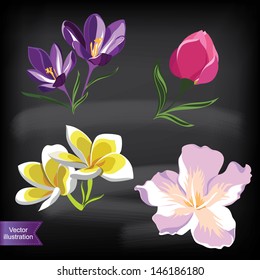 Set of realistic flowers, isolated on black background.Vector illustration.