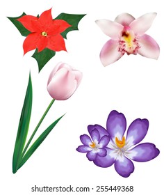 Set of realistic flowers, part 3. Vector eps10.
