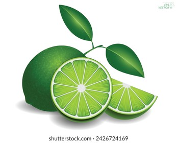 set of realistic fresh lime green isolated. 3D Illustration