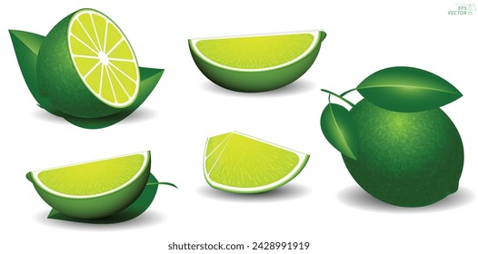 set of realistic fresh lime green isolated. Eps