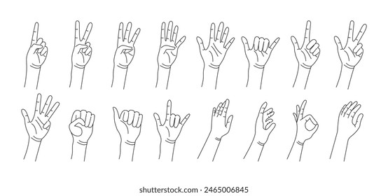 Set of realistic gesture hand shapes. Black line stroke graphic art. Human Hand Poses and Gestures. Concept of Male and Female Hands Counting Numbers, Thumbs Up, Open Palms, Communication. Vector.
