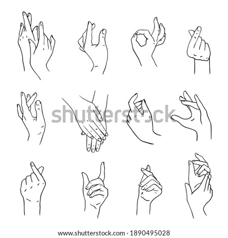 set of realistic gestures hand shape. isolated on white. Geskin's hand movements. a sign of love. tenderness. a linear pattern. hand drawing