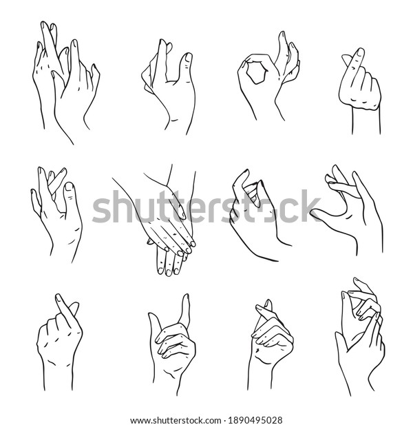 set of realistic gestures hand shape. isolated on\
white. Geskin\'s hand movements. a sign of love. tenderness. a\
linear pattern. hand\
drawing