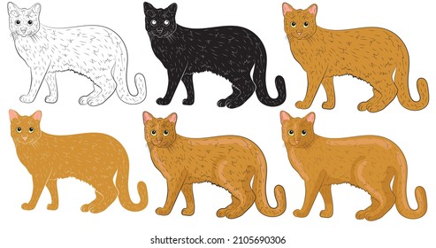 Set of Realistic ginger cat. vector illustration