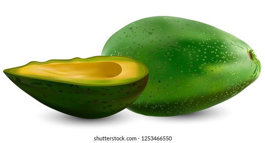Set of realistic green avocado. Vector illustration. Exotic evergreen fruit plants. Isolation on a white background