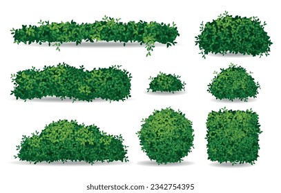 Set of realistic green bushes and tree crowns isolated on white background vector illustration