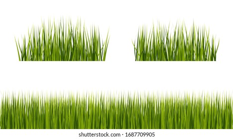 Set of realistic green grass isolated on white background. Objects for design. Vector illustration