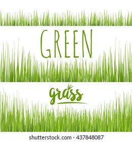 Set realistic green grass lawn isolated on white. Floral eco nature background. Organic food, healthy food. Web vector illustration. Eco color grass.