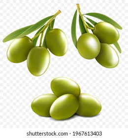 Set of realistic green olive branches isolated on a transparent background. Vector 3d illustration.