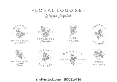Flores dibujadas a mano y elementos de hojas realistas. vector premium de flores botánicas 