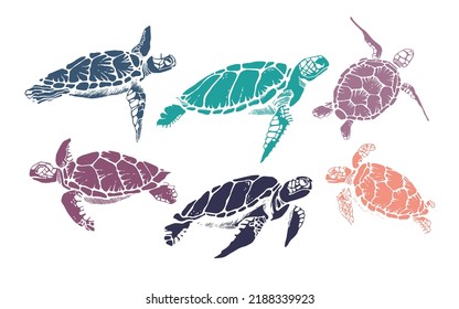 Set of realistic hand drawn vector illustration of sea turtles.