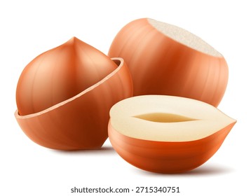Conjunto de avellanas realistas. Avellana entera y media aislada sobre fondo blanco. Nueces peladas y sin pelar. Los granos de avellana son maduros y sabrosos, una fuente de proteína. Ilustración vectorial 3D.