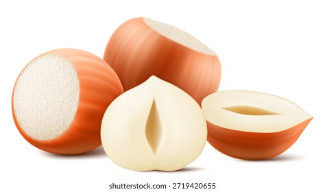 Conjunto de avellanas realistas. Avellana entera y media aislada sobre fondo blanco. Nueces peladas y sin pelar. Los granos de avellana son maduros y sabrosos, una fuente de proteína. Ilustración vectorial 3D.