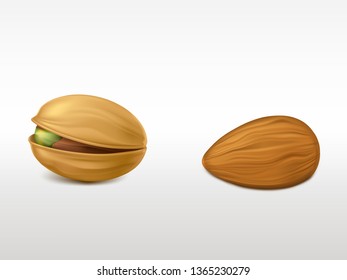 Set of realistic highly detailed nuts isolated on white background. Peeled almond and cracked pistachio with peel. Fresh product for healthy vegetarian nutrition design element. 3d vector illustration