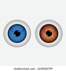 Set of realistic human eyeball isolated