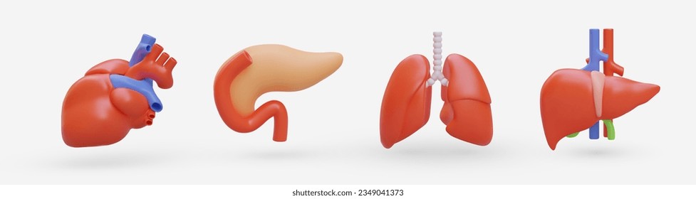 Set of realistic human internal organs. 3D heart, stomach, lungs, liver. Illustrations for medical website, application, training manuals. Color icons