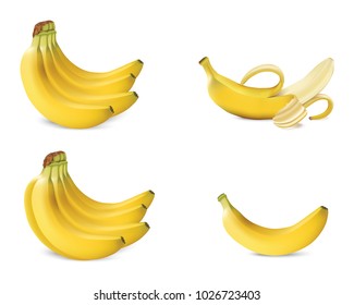 Set of realistic illustration bananas. Banana,half peeled banana,bunch of bananas isolated on white background, banana icon.Vector illustration.