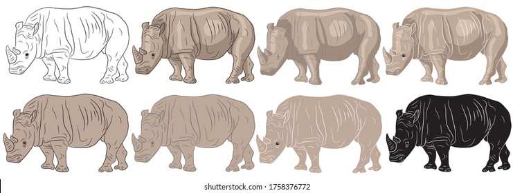 Set of realistic illustration of a rhino on clipart style in isolate on a white background. African animal. Vector illustration.