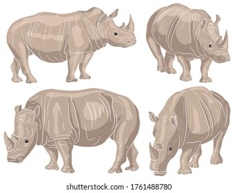 Set of realistic illustration of a rhino on clipart style in isolate on a white background. African animal. Vector illustration.